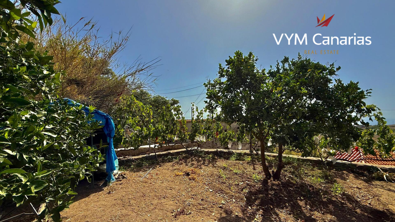 Дом на Тенерифе, Испания, 250 м² - фото 10