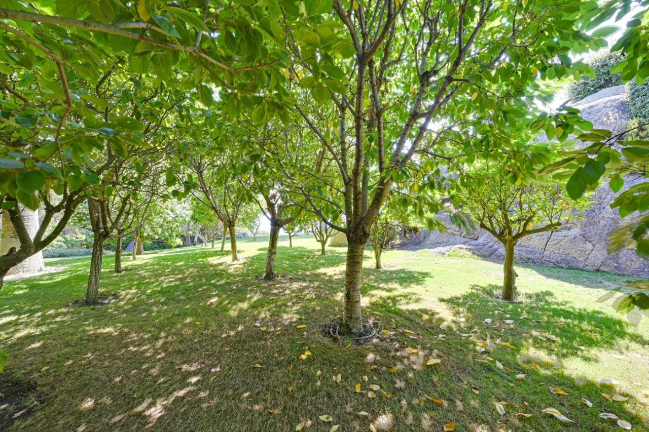 Дом на Коста-дель-Маресме, Испания, 1 280 м² - фото 4