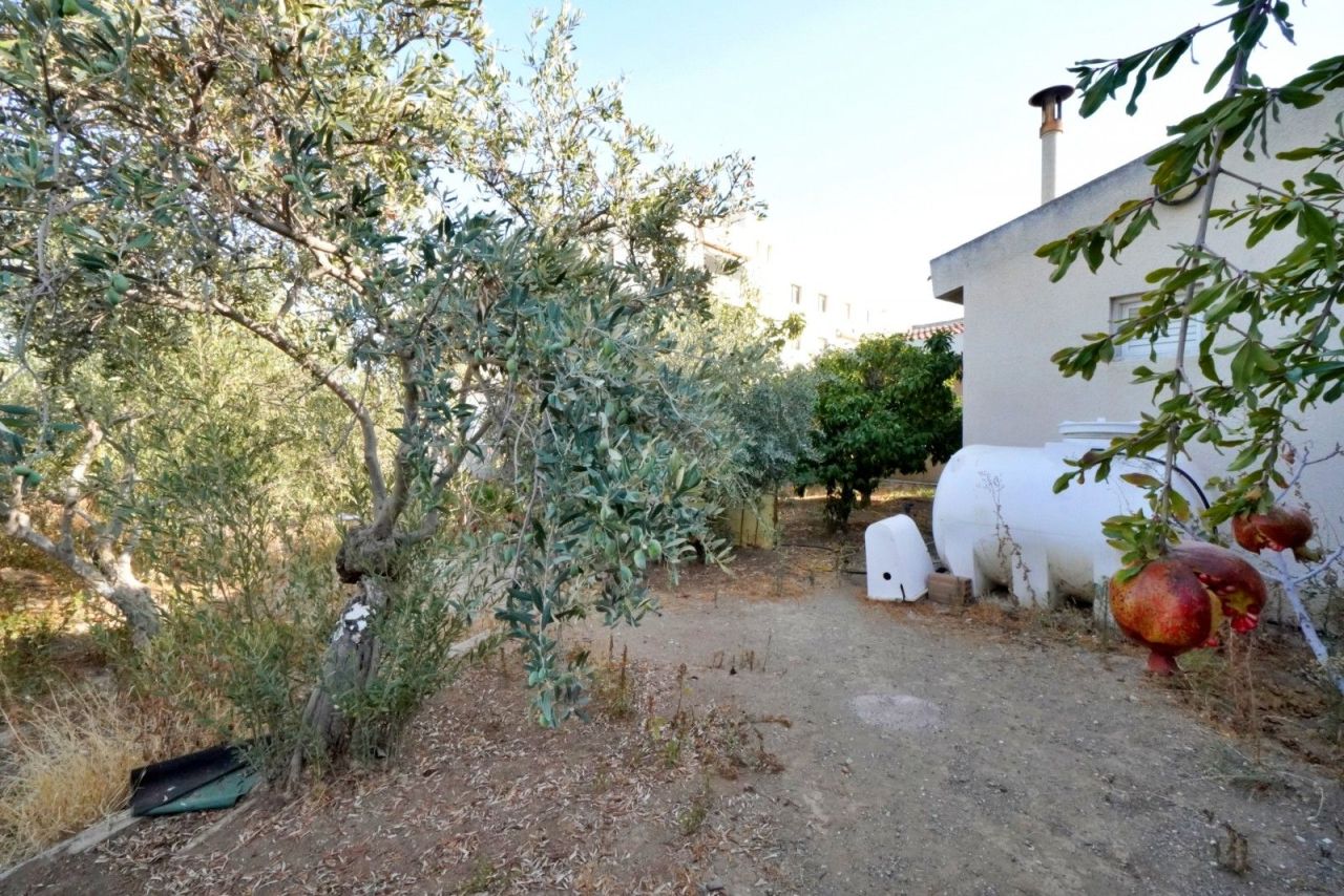 Бунгало в Ларнаке, Кипр, 156 м² - фото 19