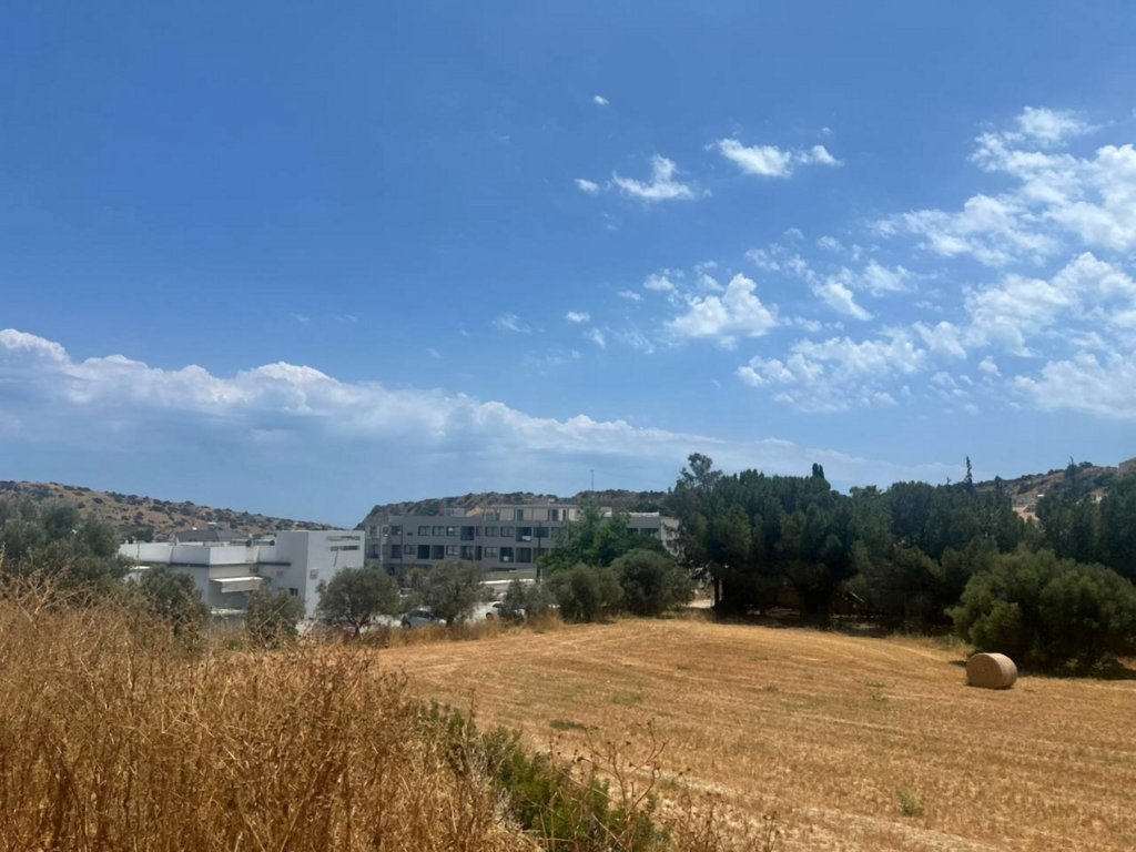 Кафе, ресторан в Лимасоле, Кипр - фото 4