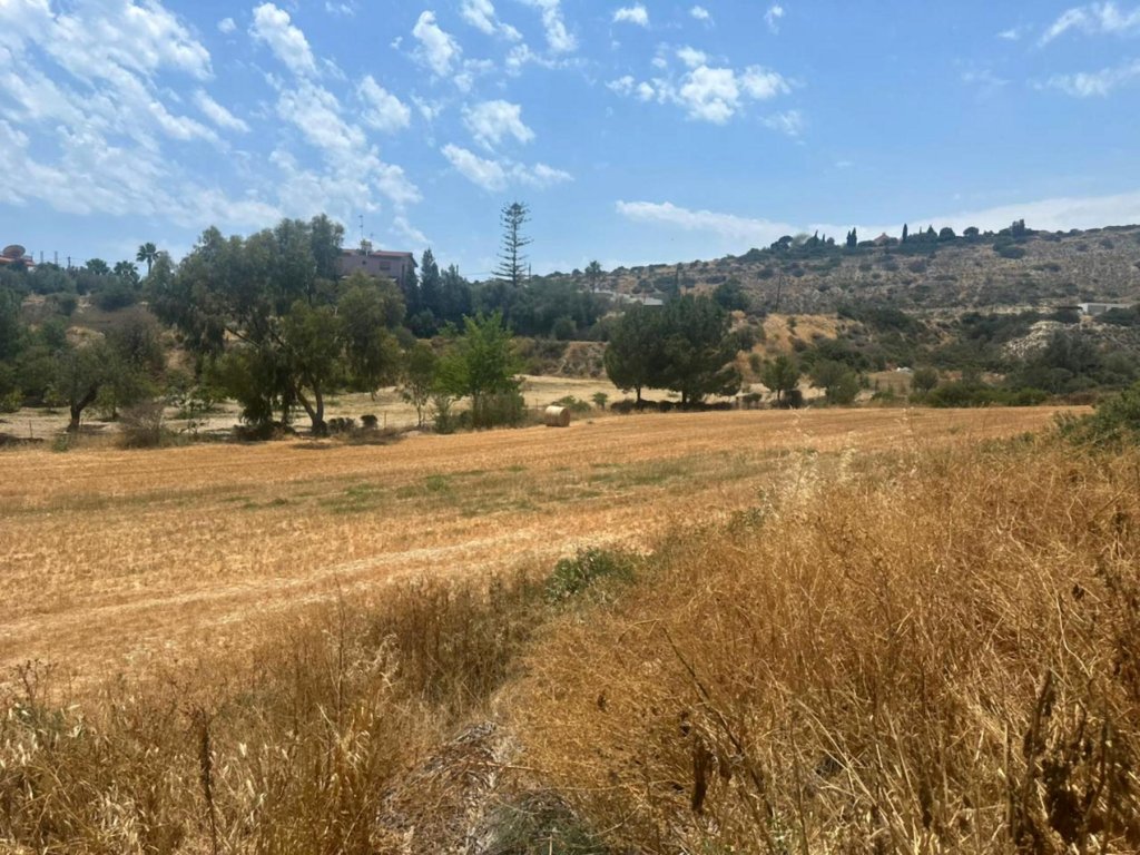 Кафе, ресторан в Лимасоле, Кипр - фото 7