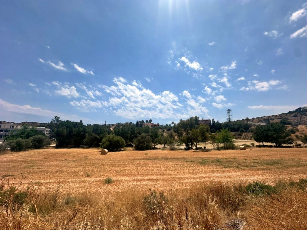 Кафе, ресторан в Лимасоле, Кипр - фото 8