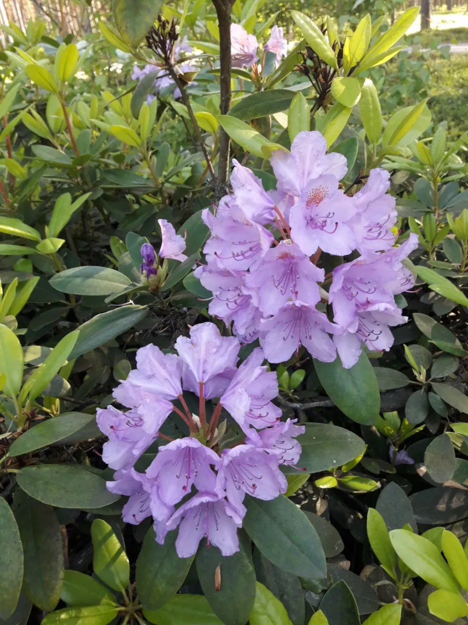 Дом в Хуитинен, Финляндия, 136 м² - фото 6