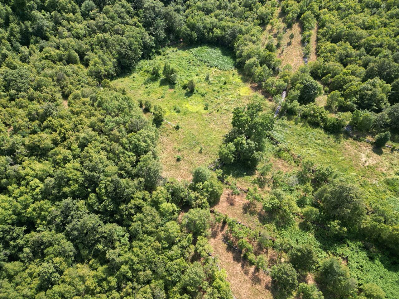 Земля в Баре, Черногория, 48 908 м² - фото 2