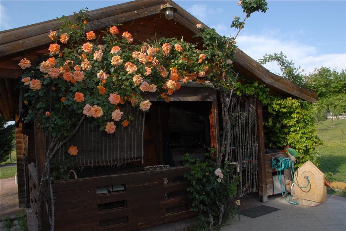 Дом в Салониках, Греция, 340 м² - фото 4