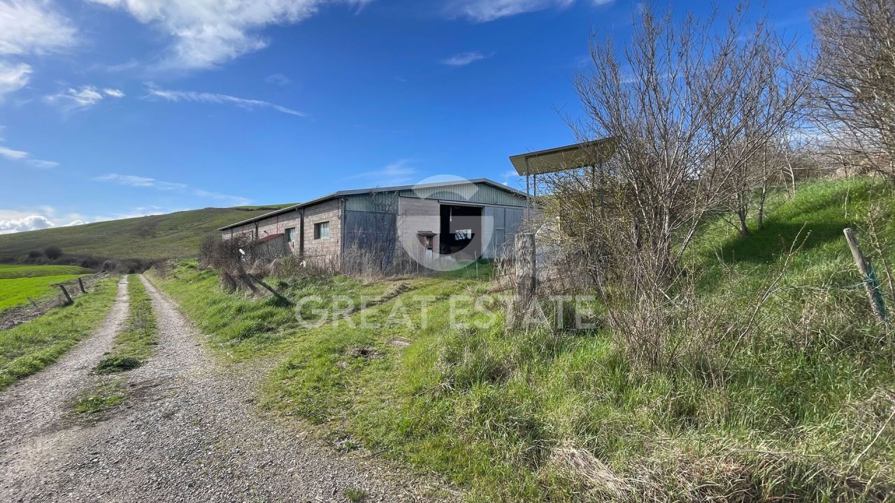 Дом в Монтальчино, Италия, 1 350.4 м² - фото 6