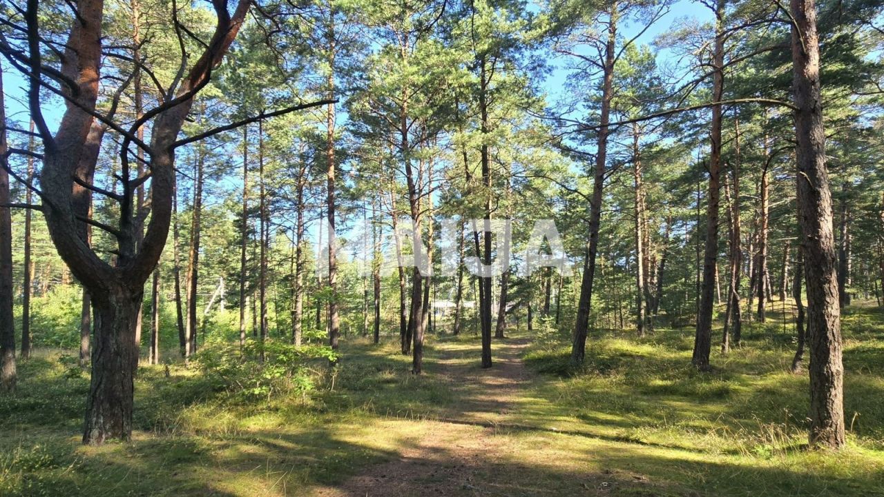 Земля Gauja, Латвия, 4 850 000 м² - фото 6