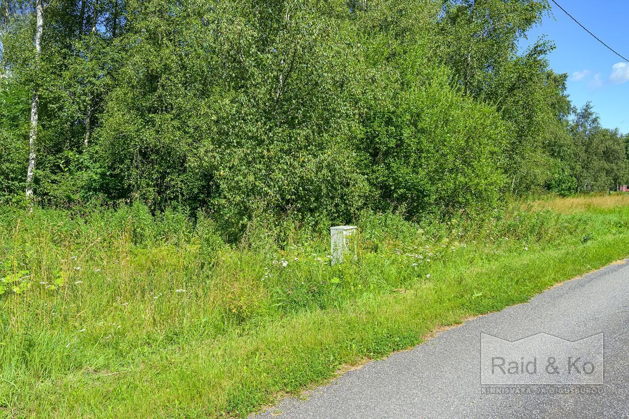 Земля в Харьюмаа, Эстония, 7 031 м² - фото 7