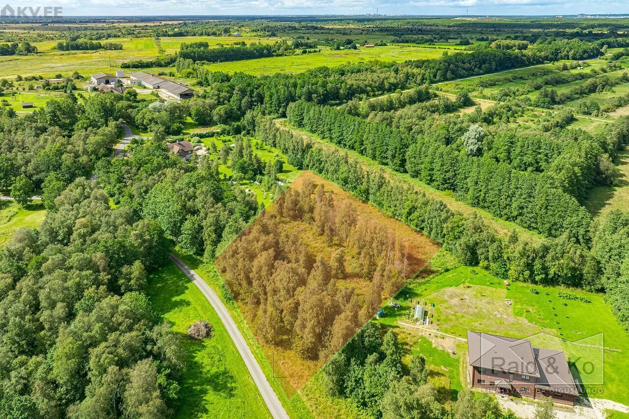 Земля в Харьюмаа, Эстония, 7 031 м² - фото 17