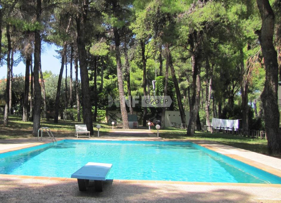 Вилла в Сани, Греция, 100 м² - фото 4