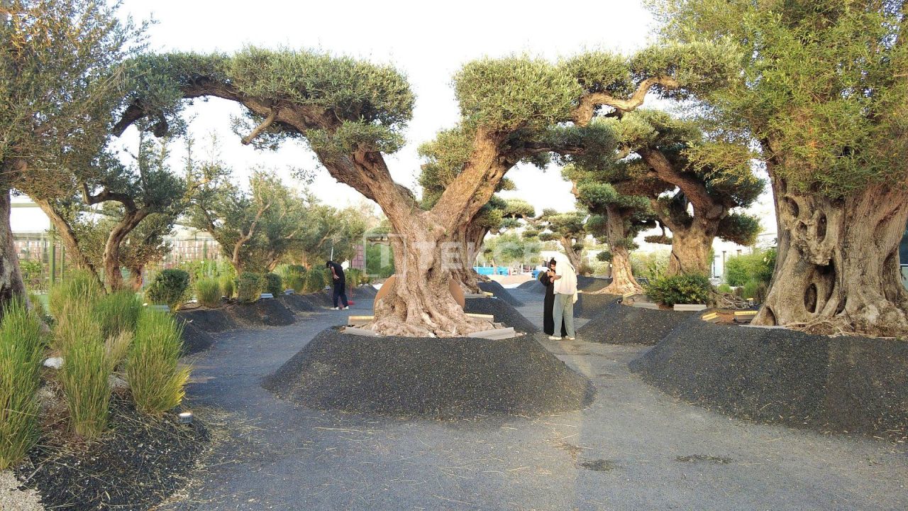 Апартаменты Мейдан, ОАЭ, 105 м² - фото 4