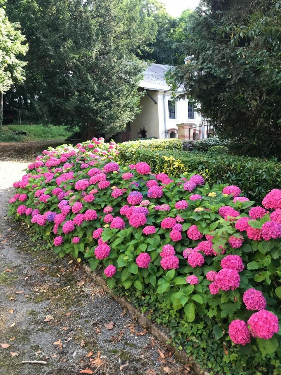 Вилла Центр - Долина Луары, Франция, 800 м² - фото 4