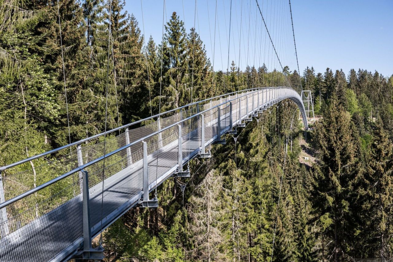 Отель, гостиница в Бад-Вильдбаде, Германия, 3 408.39 м² - фото 12