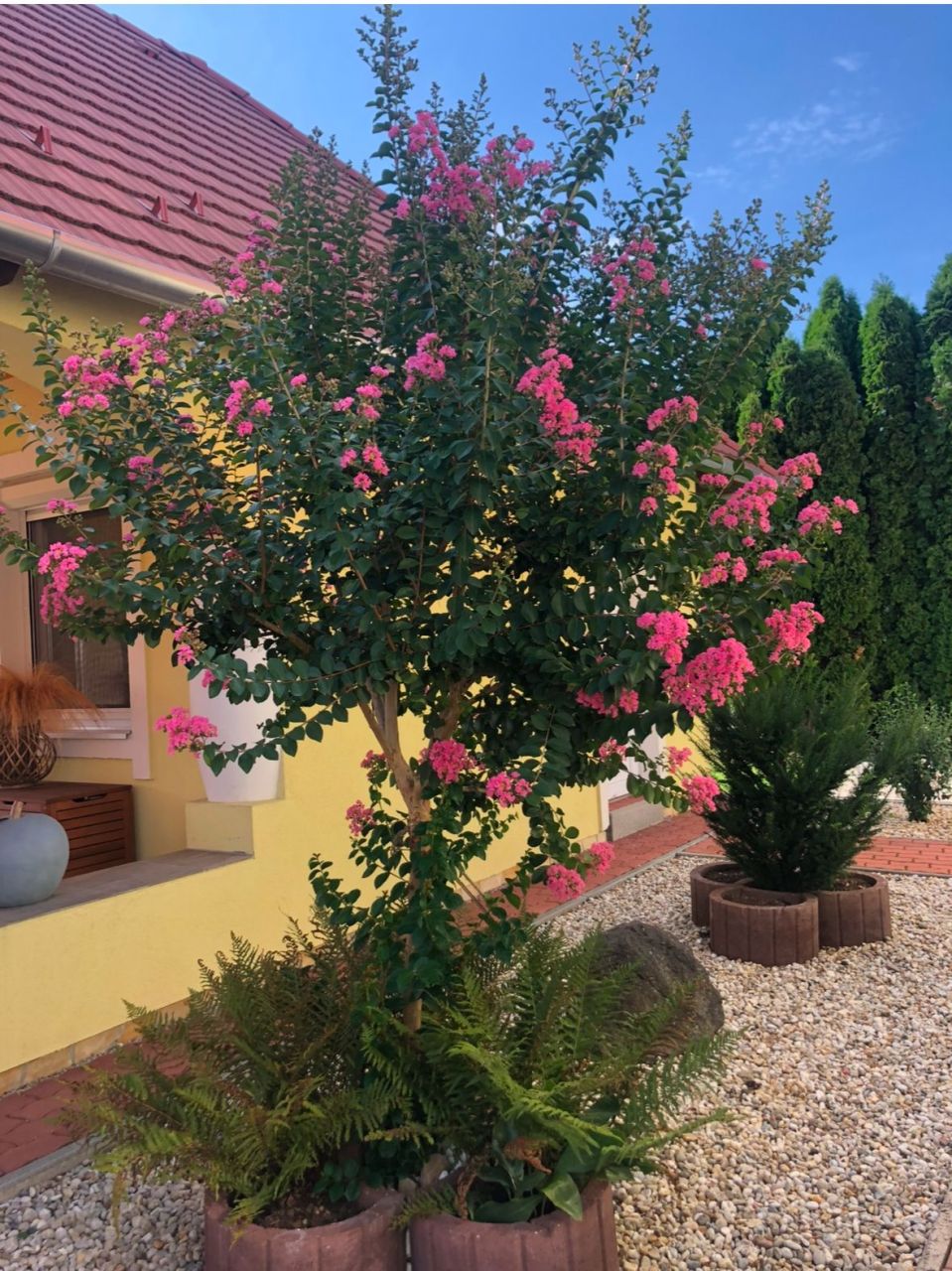 Вилла в Залачани, Венгрия, 350 м² - фото 7