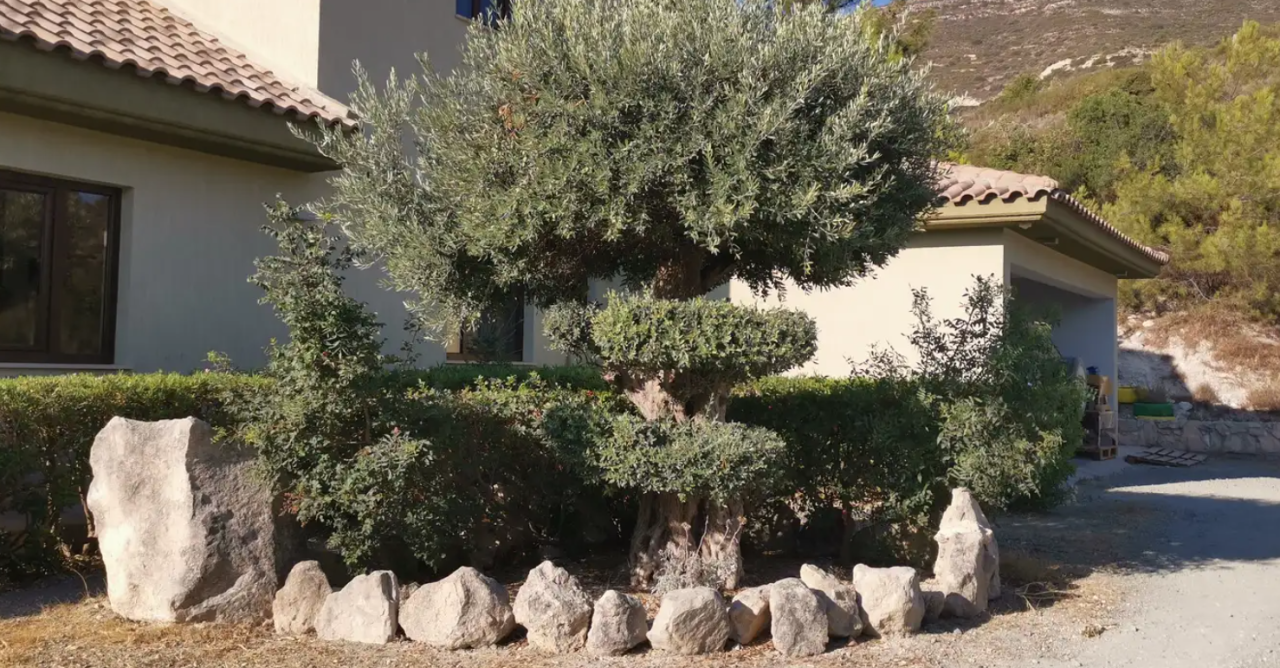 Дом в Лимасоле, Кипр, 350 м² - фото 4