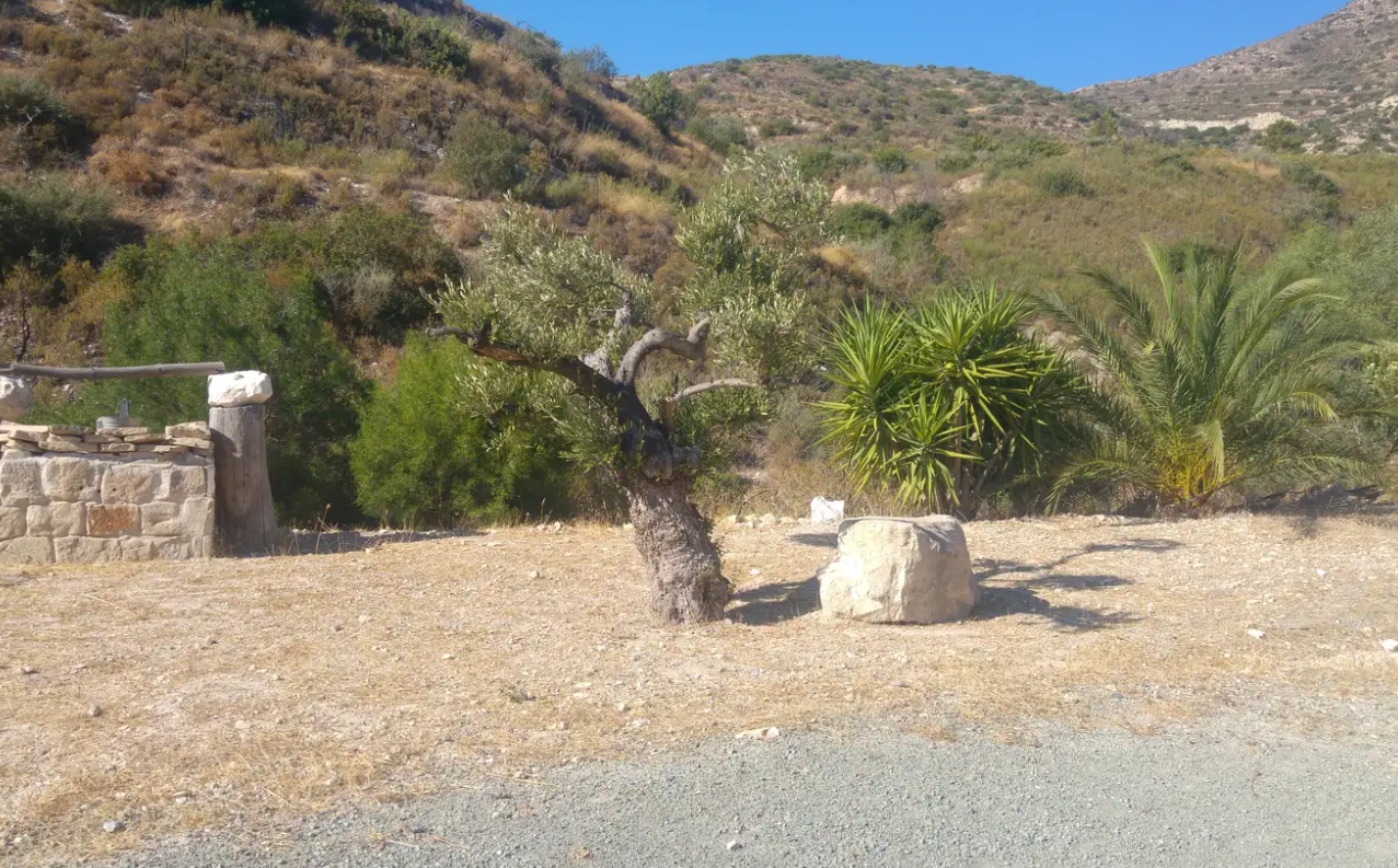 Дом в Лимасоле, Кипр, 350 м² - фото 5