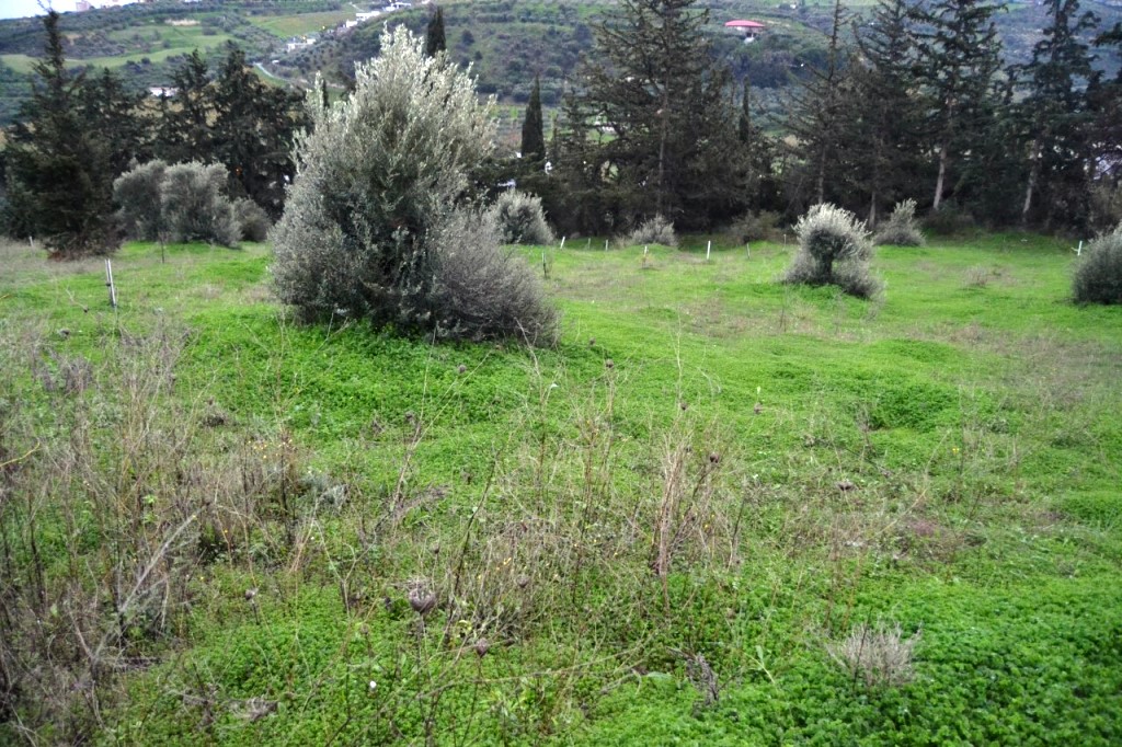 Земля в Ираклионе, Греция, 4 100 м² - фото 1