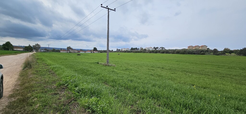 Земля на Кассандре, Греция, 55 000 м² - фото 1