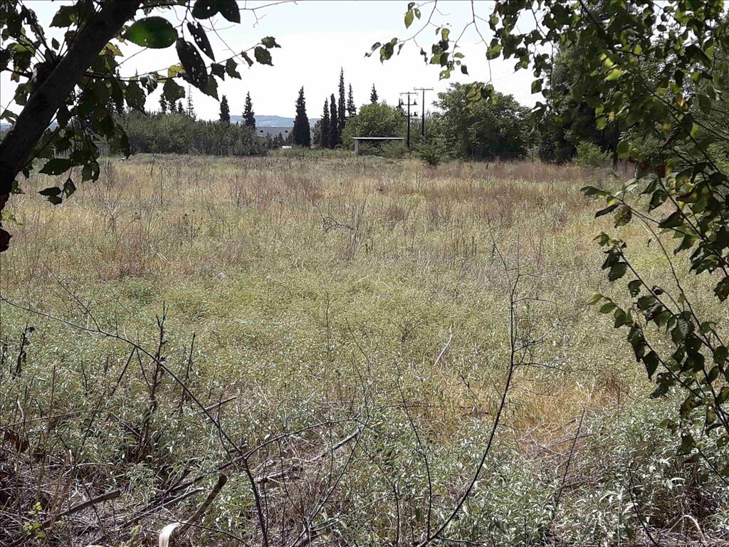Земля в Салониках, Греция, 5 908 м² - фото 1