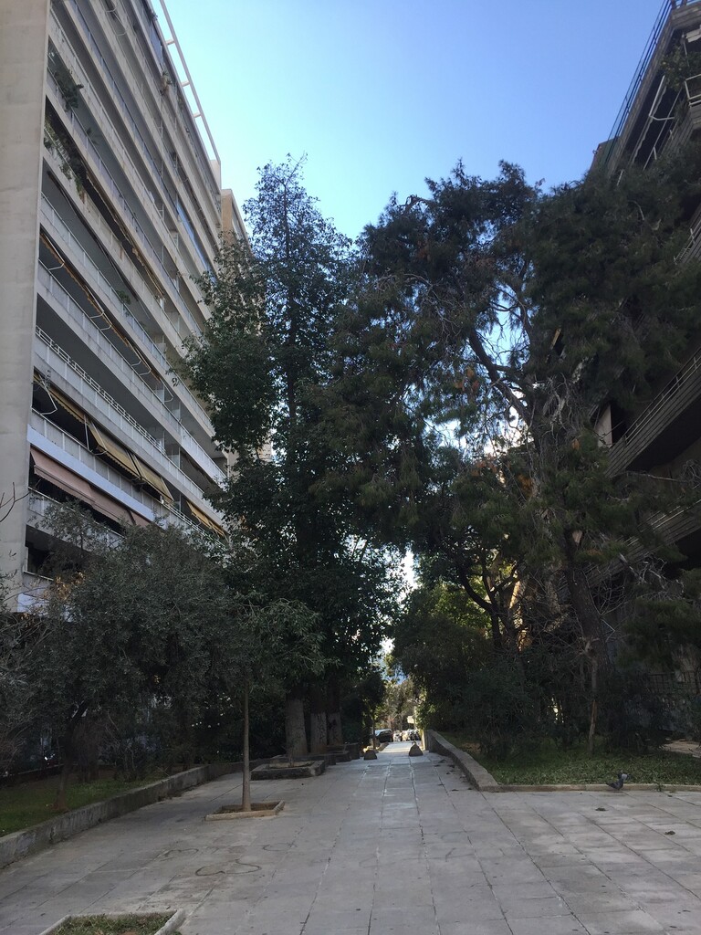 Квартира в Афинах, Греция, 110 м² - фото 3