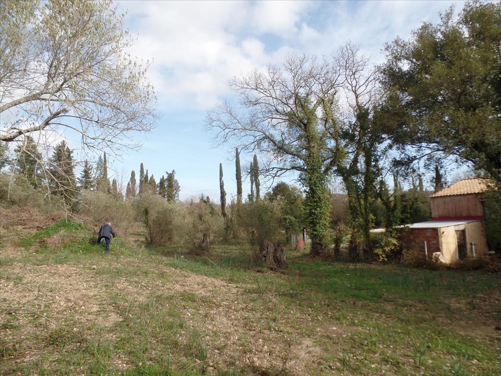 Земля на Корфу, Греция, 35 000 м² - фото 3