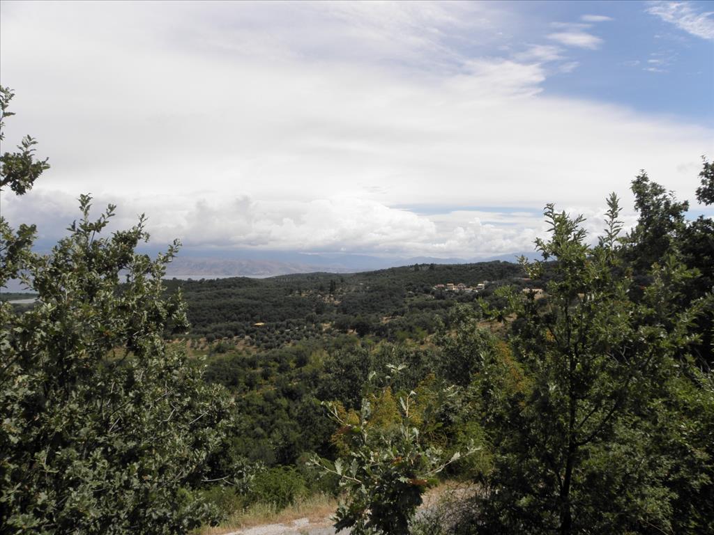 Земля на Корфу, Греция, 15 000 м² - фото 3