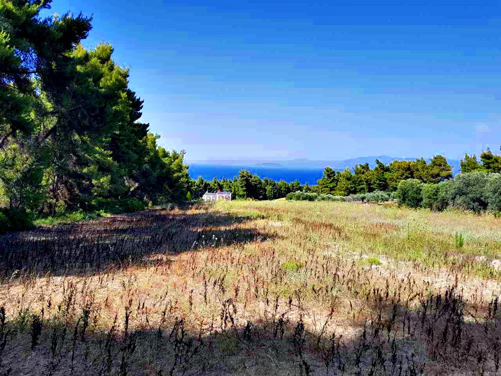 Земля на Кассандре, Греция, 8 000 м² - фото 3