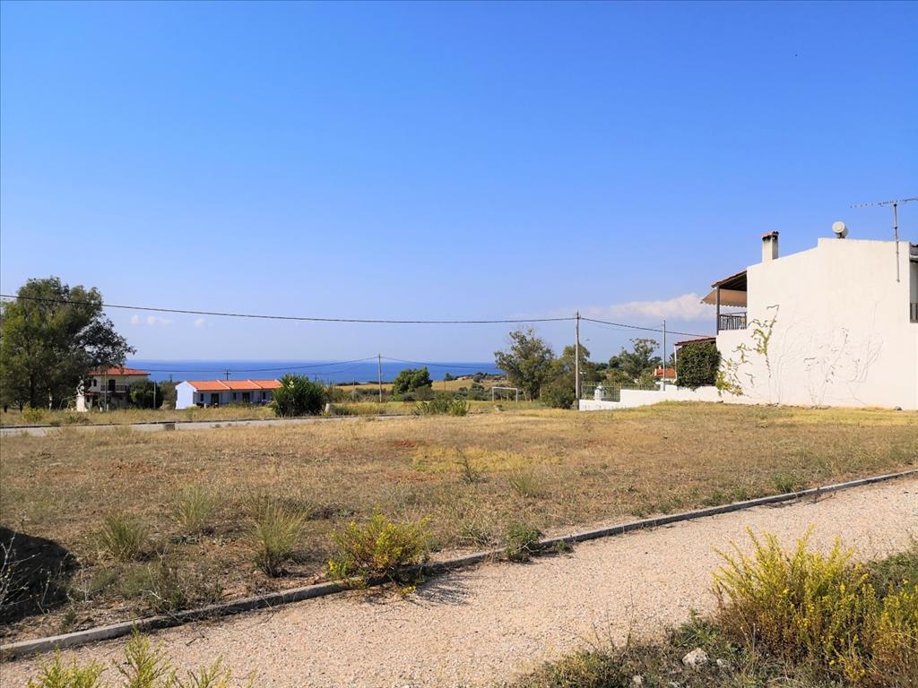 Земля в Ситонии, Греция, 30 600 м² - фото 3