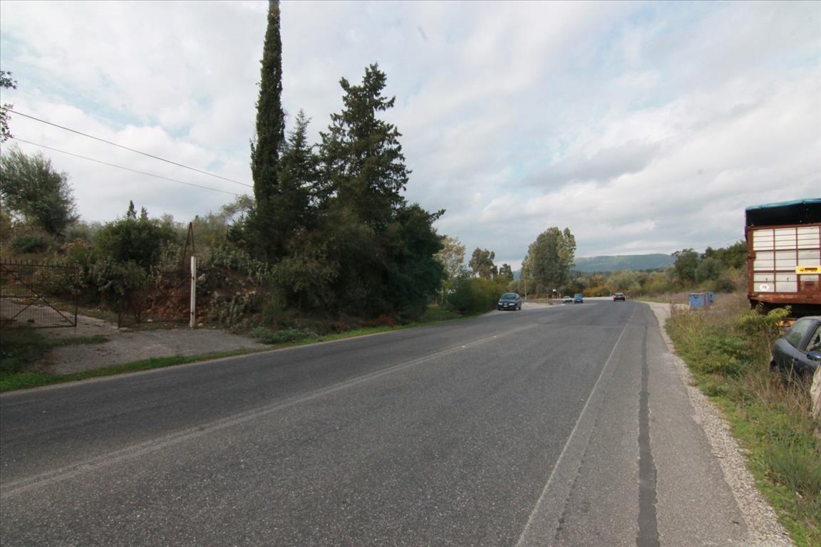 Земля на Корфу, Греция, 6 500 м² - фото 3