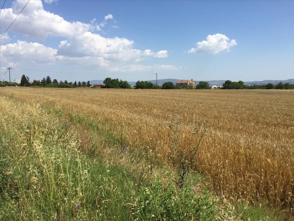 Земля в Салониках, Греция, 16 000 м² - фото 3