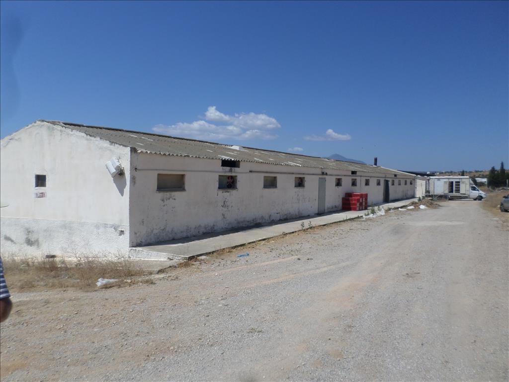 Земля в Афинах, Греция, 22 000 м² - фото 4