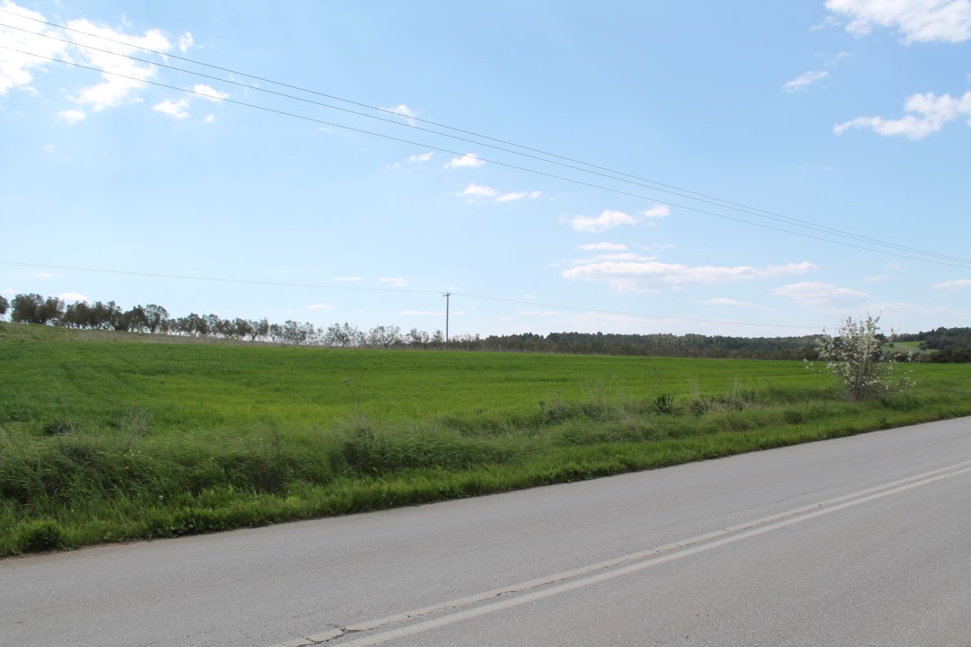 Земля на Кассандре, Греция, 7 500 м² - фото 4