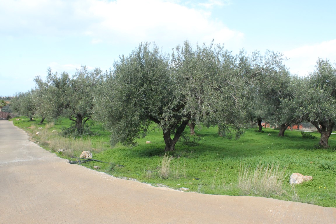 Земля в Ираклионе, Греция, 2 456 м² - фото 4