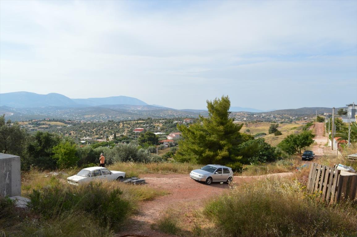 Дом в Аттике, Греция, 360 м² - фото 4