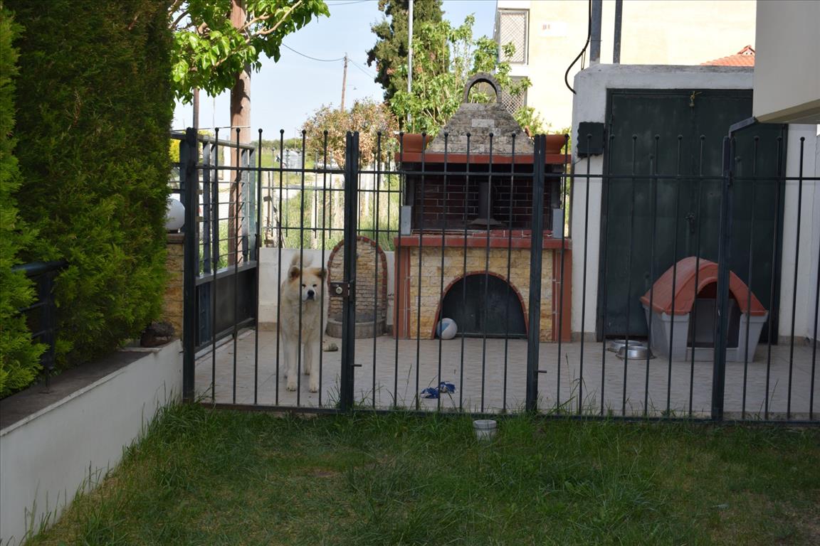 Дом в Салониках, Греция, 180 м² - фото 4