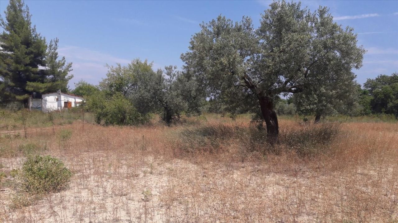 Земля в Ситонии, Греция, 6 013 м² - фото 4