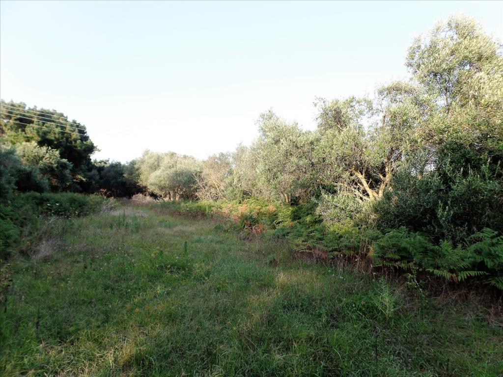 Земля на Корфу, Греция, 6 409 м² - фото 4