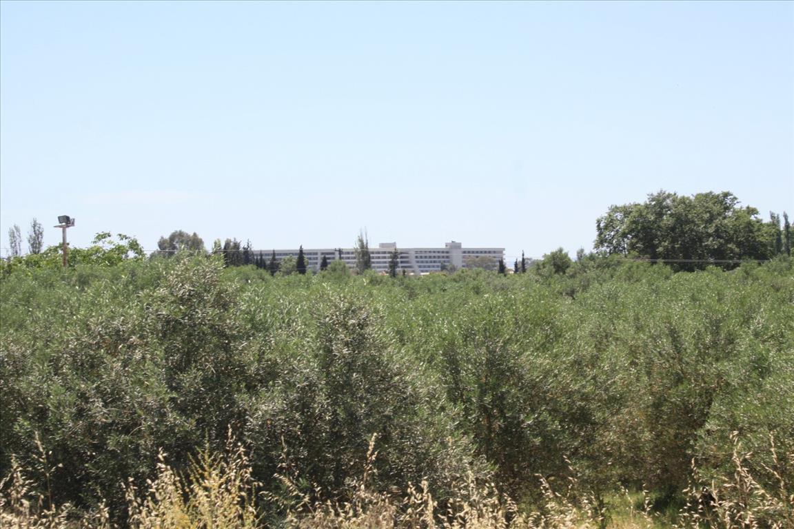 Земля в Ситонии, Греция, 3 500 м² - фото 4