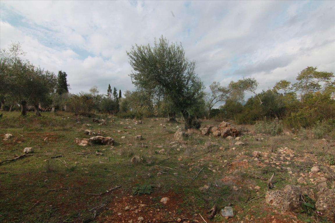 Земля на Корфу, Греция, 6 500 м² - фото 5