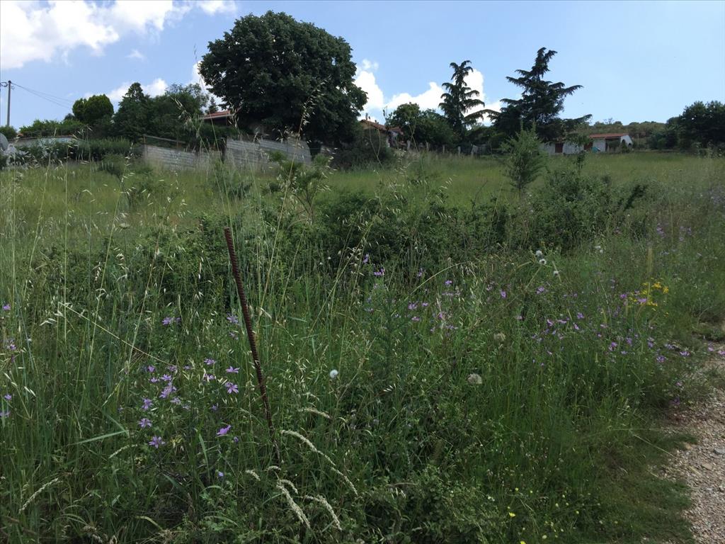 Земля в Салониках, Греция, 2 750 м² - фото 5