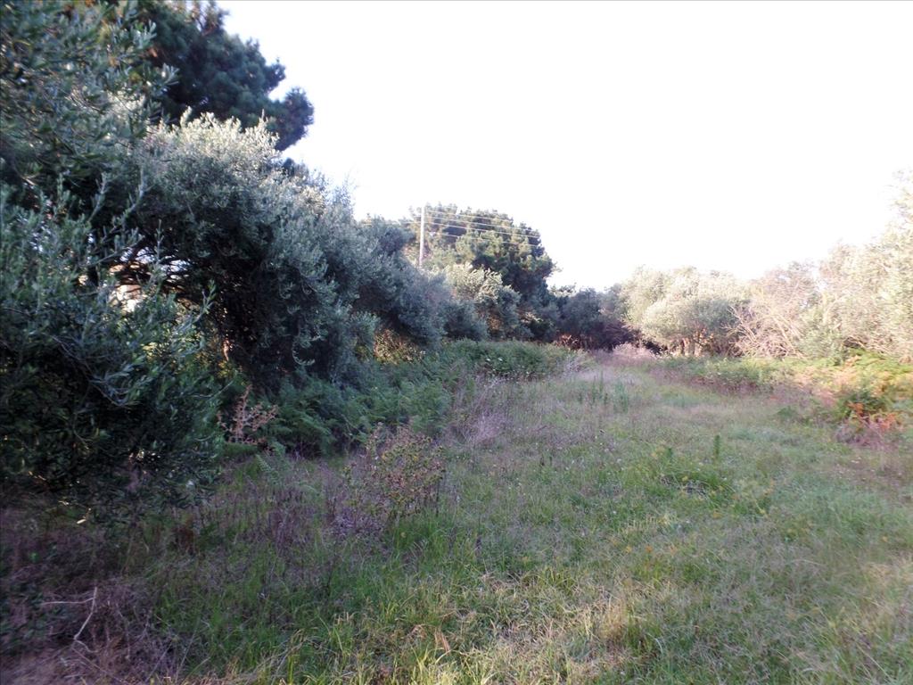 Земля на Корфу, Греция, 6 409 м² - фото 5