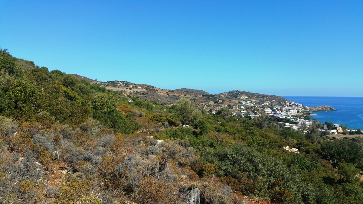 Земля в Ираклионе, Греция, 15 000 м² - фото 6