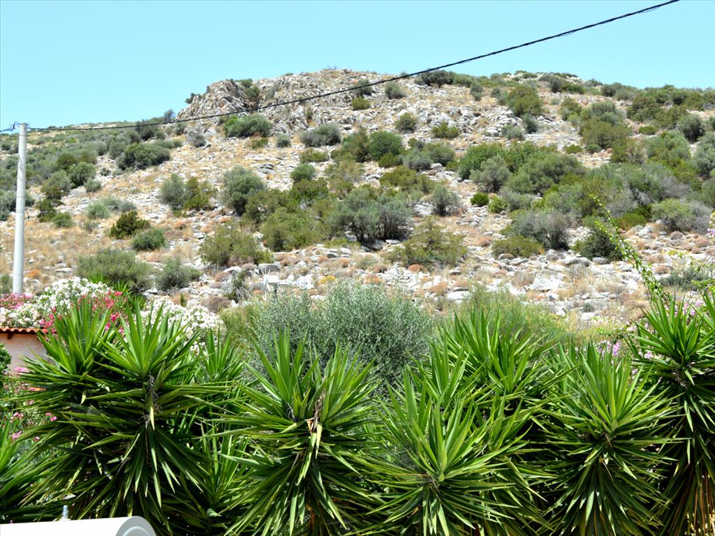 Дом в Аттике, Греция, 93 м² - фото 6