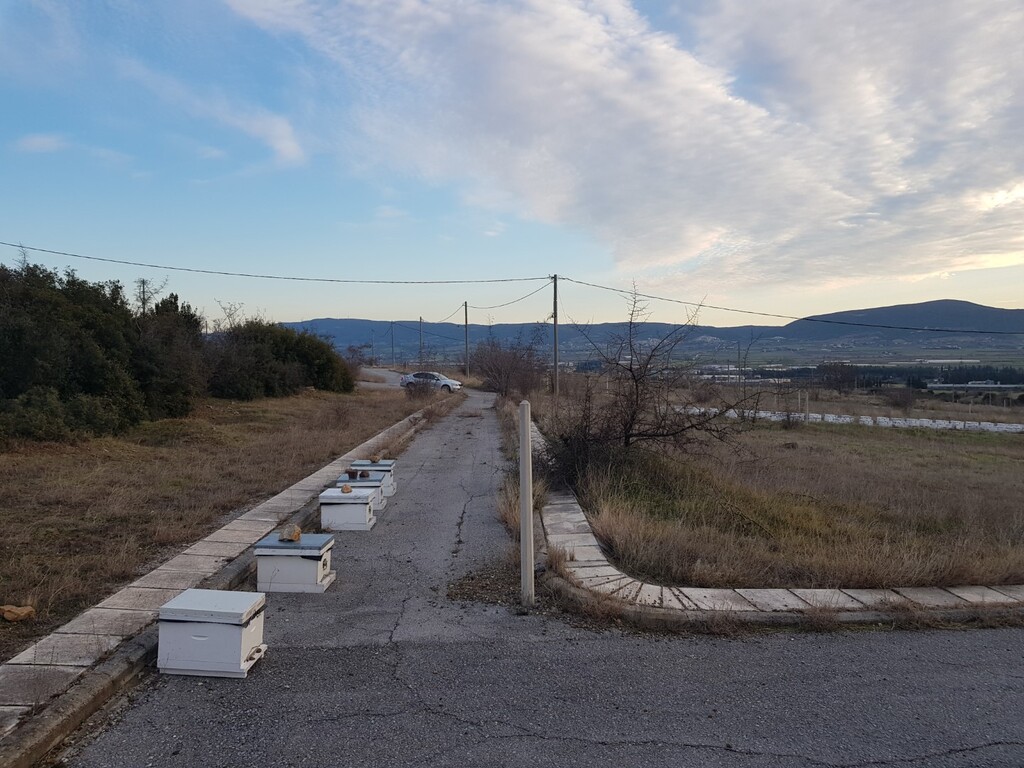 Земля в Салониках, Греция, 1 612 м² - фото 6