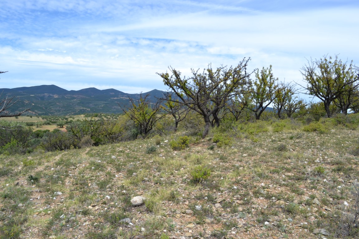 Земля на Халкидиках, Греция, 20 000 м² - фото 6