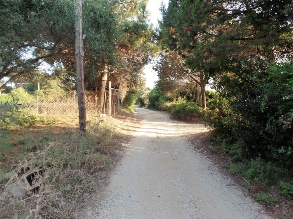 Земля на Корфу, Греция, 6 409 м² - фото 6