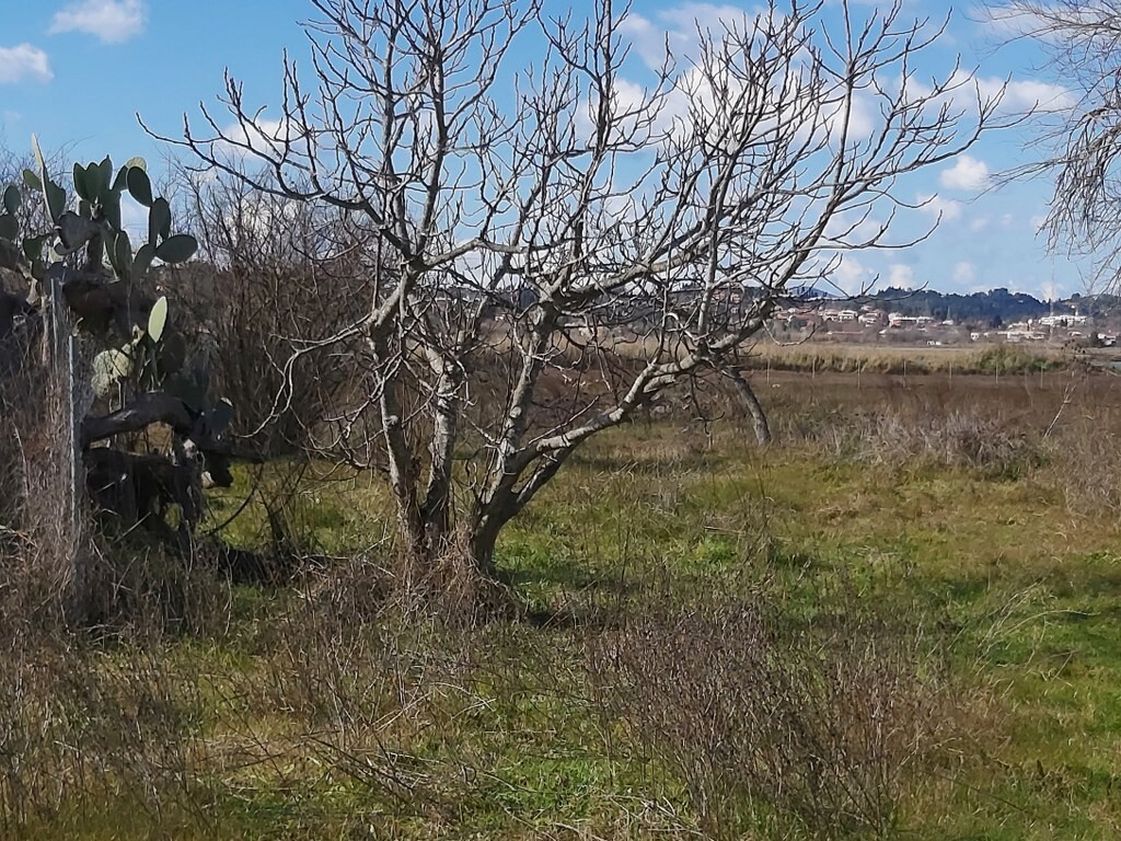 Дом на Корфу, Греция, 58 м² - фото 6