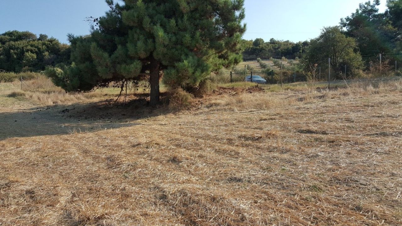 Земля на Халкидиках, Греция, 7 000 м² - фото 6