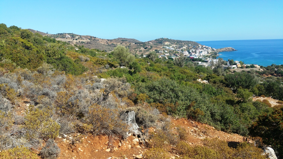 Земля в Ираклионе, Греция, 15 000 м² - фото 7