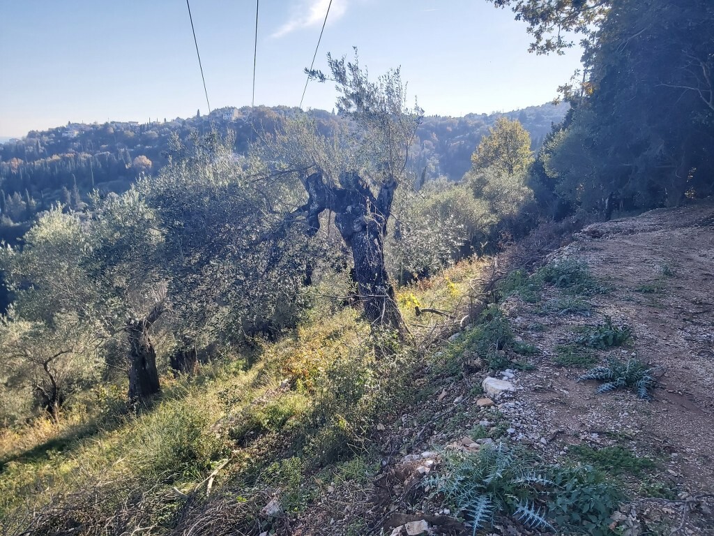 Земля на Корфу, Греция, 2 767 м² - фото 7